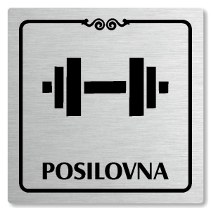 Posilovna, 100x100mm, stříbrná, Texas